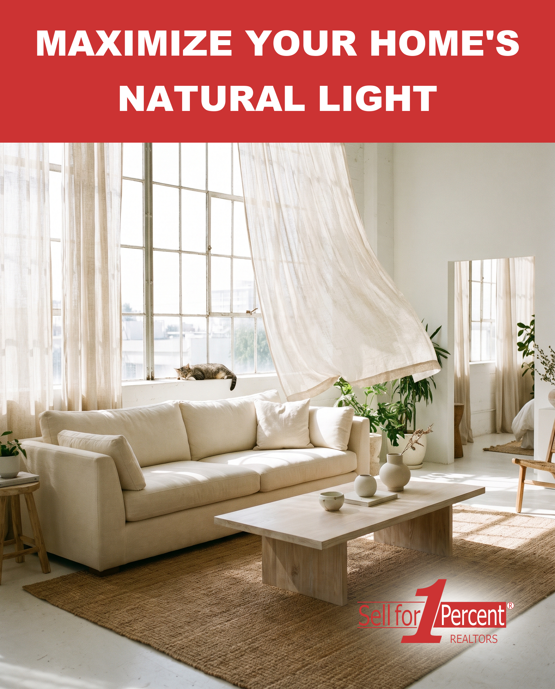 Maximize Your Home's Natural Light