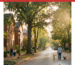 Research The Neighborhood, Not Just The House